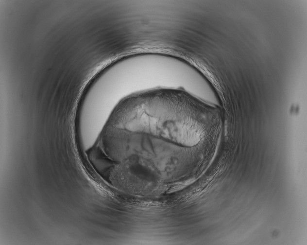 X0000098210438200805151257