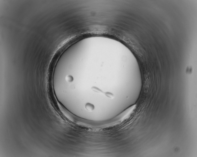 X0000098210440200805151257