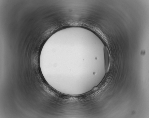 X0000098210441200805151257