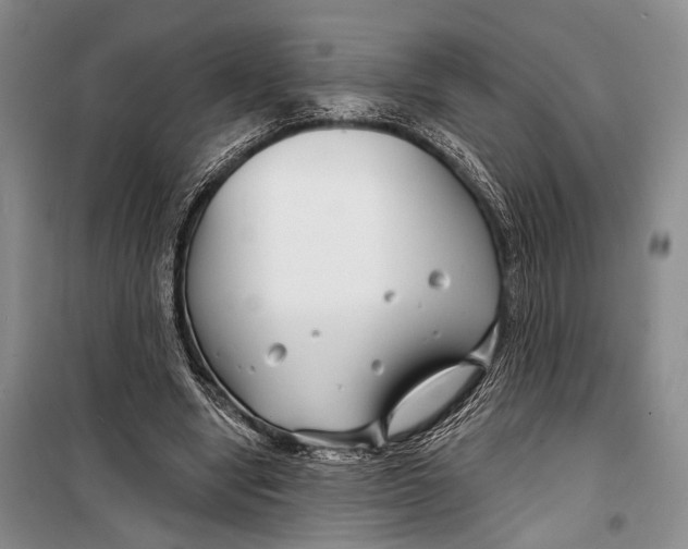 X0000098210442200805151257