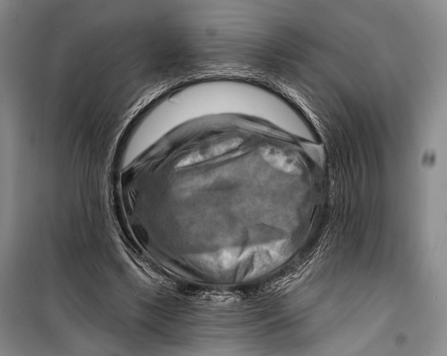 X0000098210443200805151257