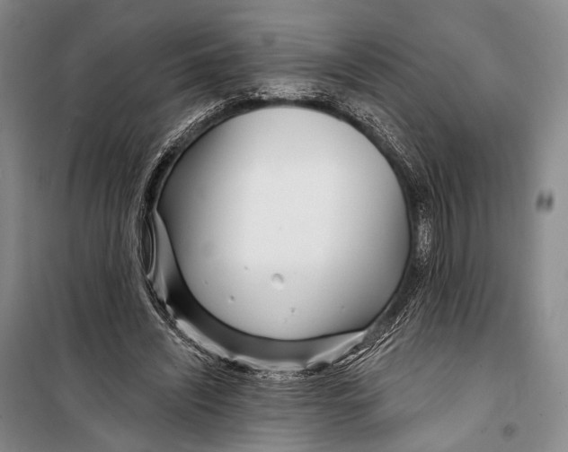 X0000098210444200805151257