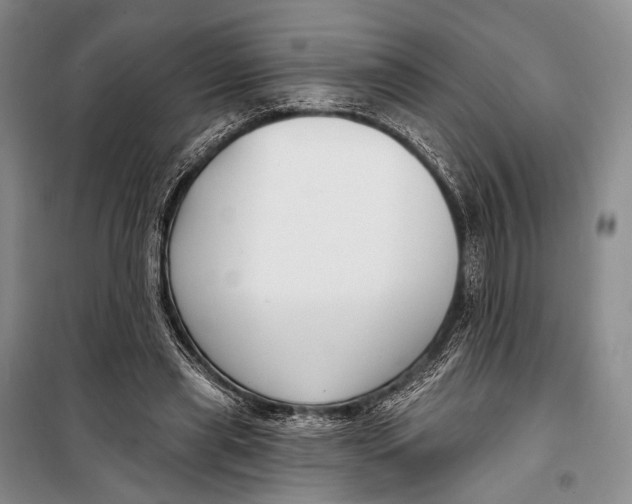 X0000098210445200805151257