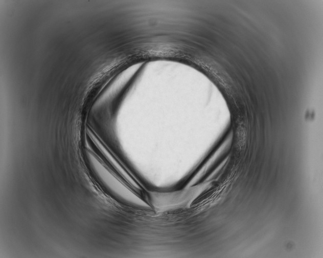 X0000098210446200805151257