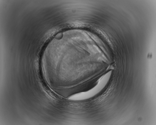 X0000098210447200805151257