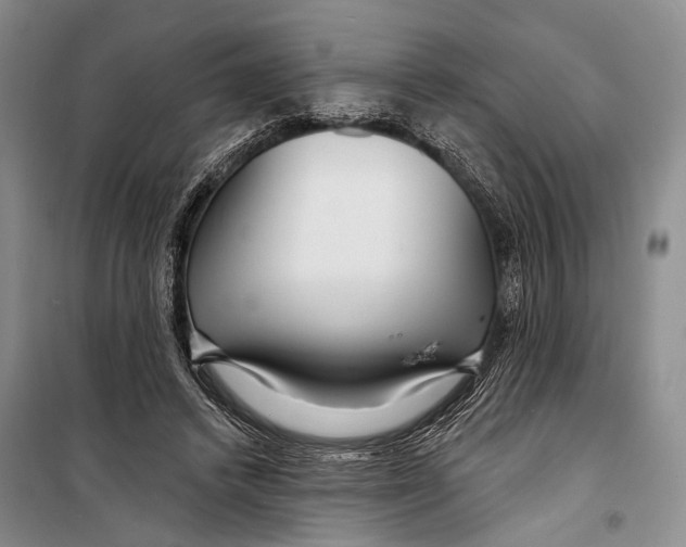 X0000098210448200805151257