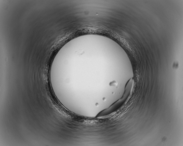 X0000098210450200805151257