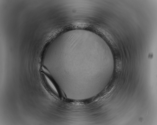 X0000098210451200805151257