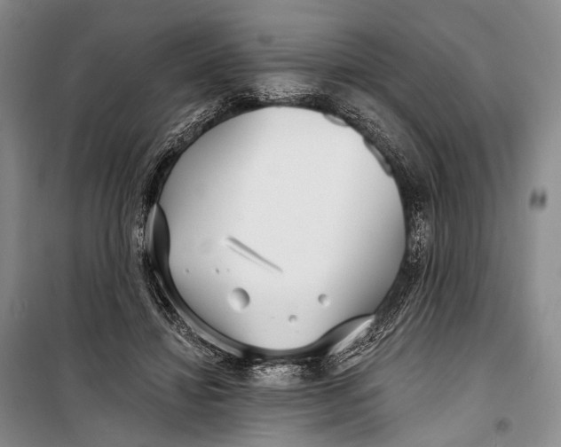 X0000098210452200805151257