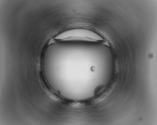 X0000098210453200805151257