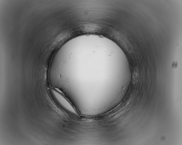 X0000098210454200805151257