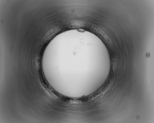 X0000098210455200805151257