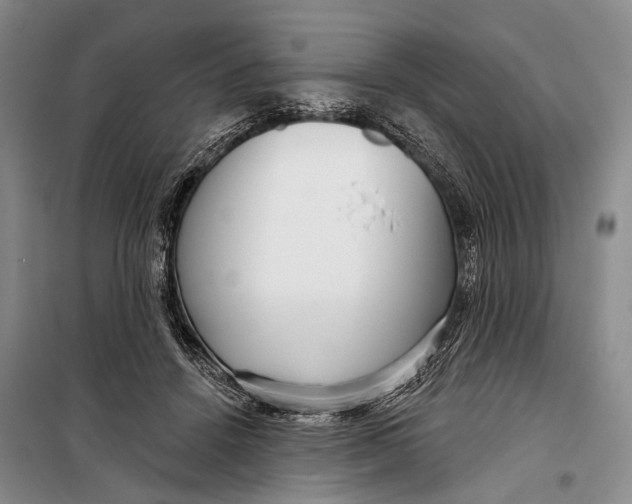 X0000098210456200805151257