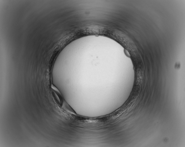 X0000098210457200805151257