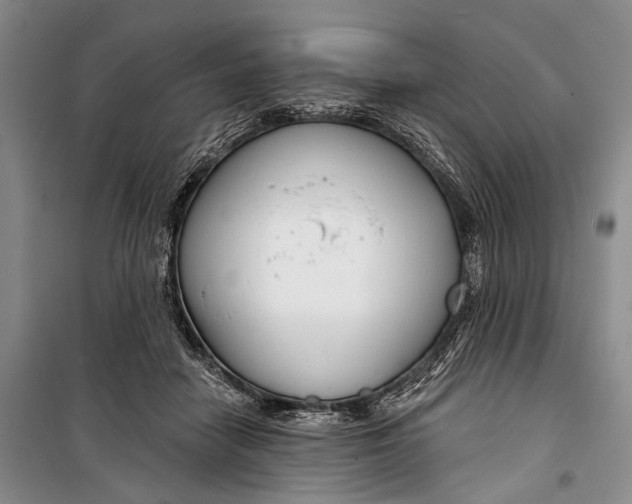 X0000098210458200805151257