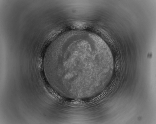 X0000098210459200805151257