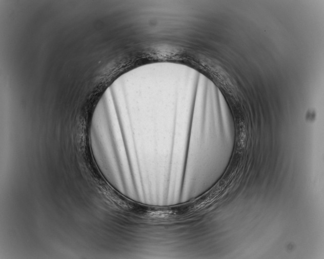 X0000098210461200805151257