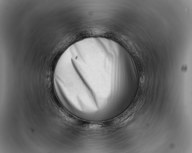 X0000098210462200805151257