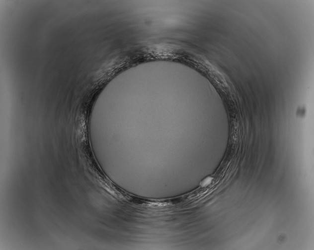 X0000098210465200805151257