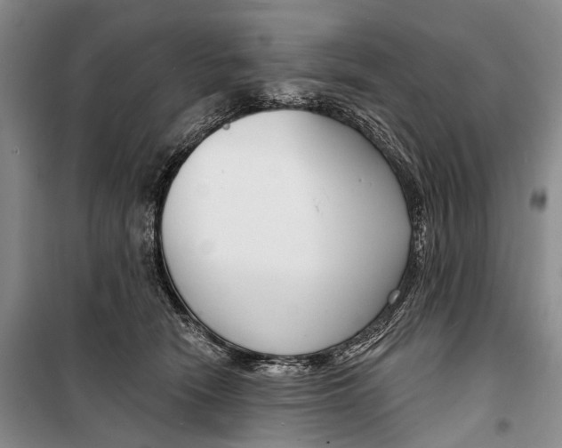 X0000098210466200805151257