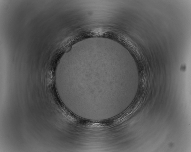X0000098210467200805151257