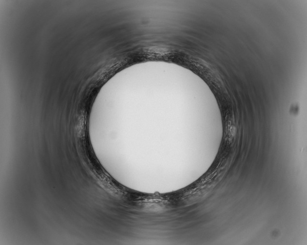 X0000098210468200805151257