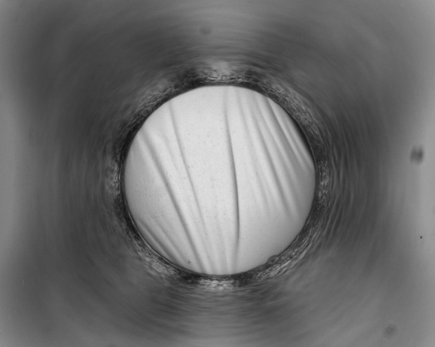 X0000098210469200805151257