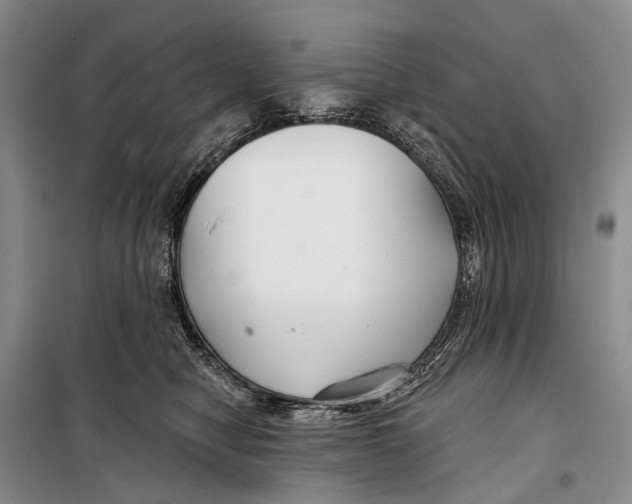 X0000098210470200805151257