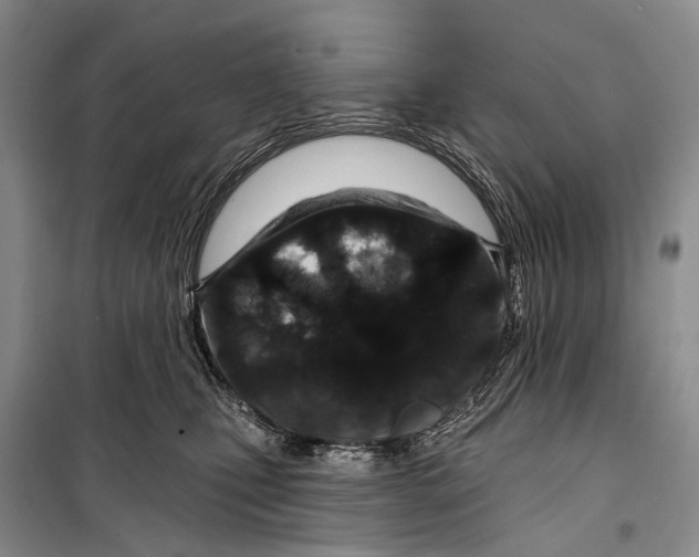 X0000098210471200805151257