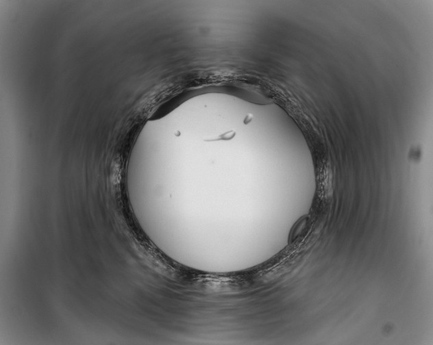 X0000098210472200805151257