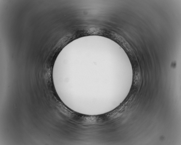 X0000098210473200805151257