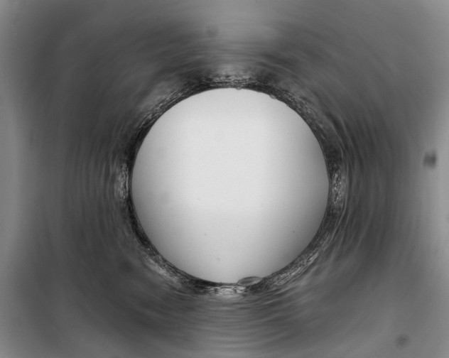 X0000098210474200805151257