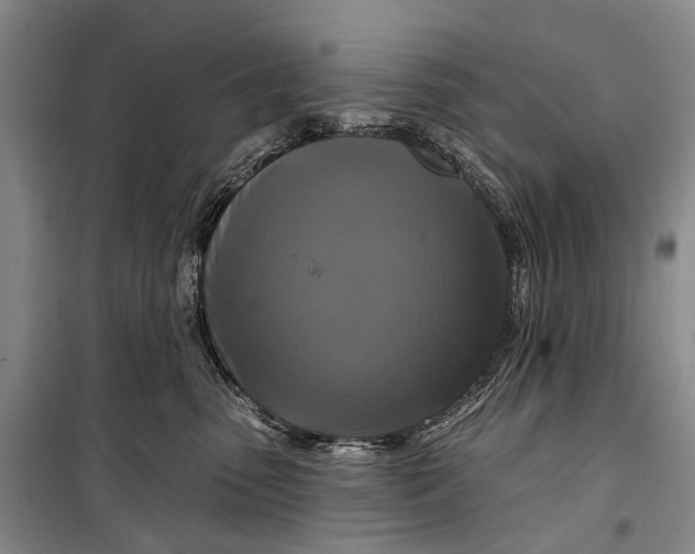 X0000098210475200805151257
