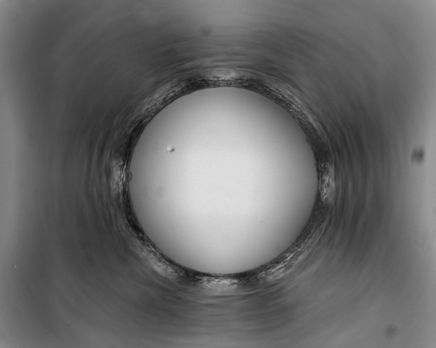 X0000098210476200805151257
