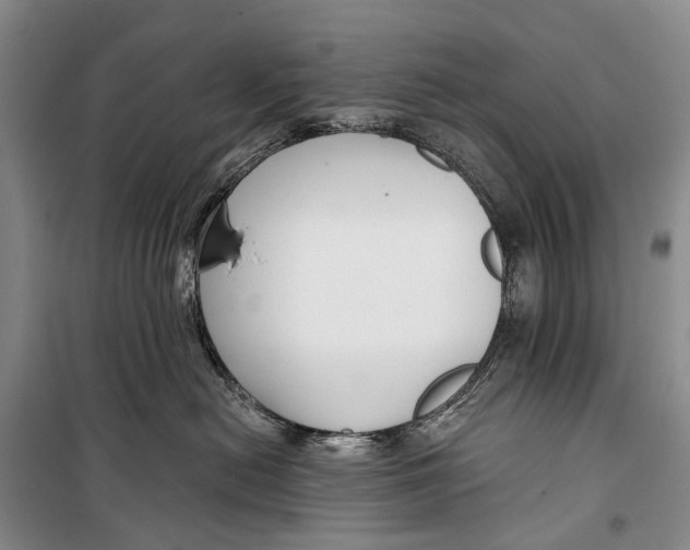 X0000098210478200805151258
