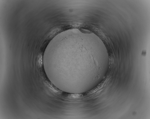 X0000098210479200805151258