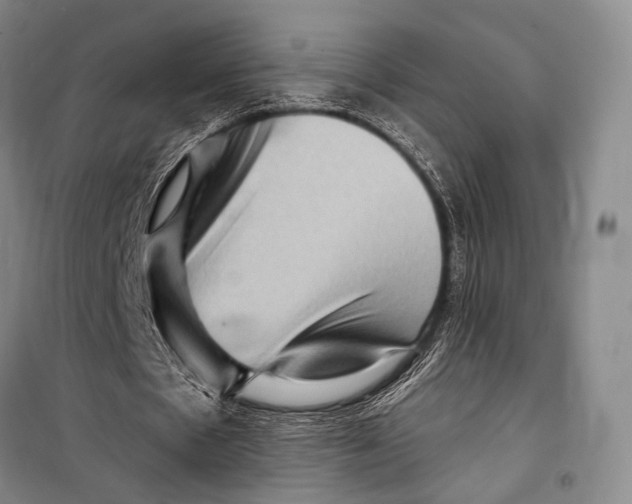 X0000098210481200805151257
