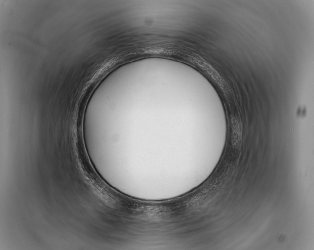 X0000098210482200805151257