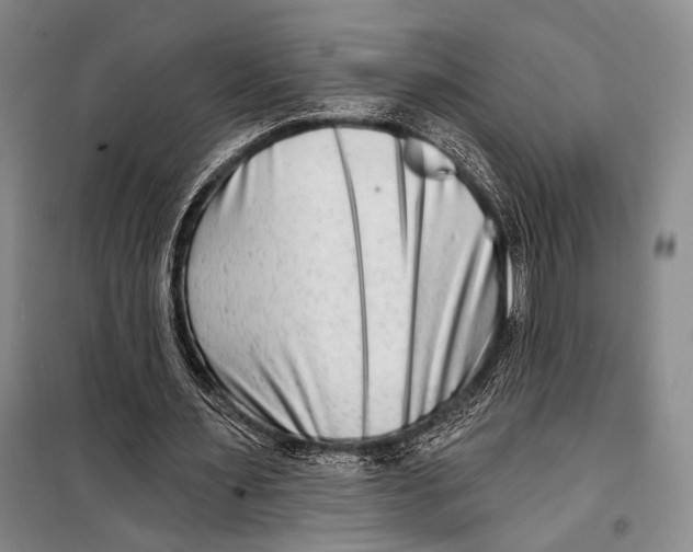 X0000098210483200805151257