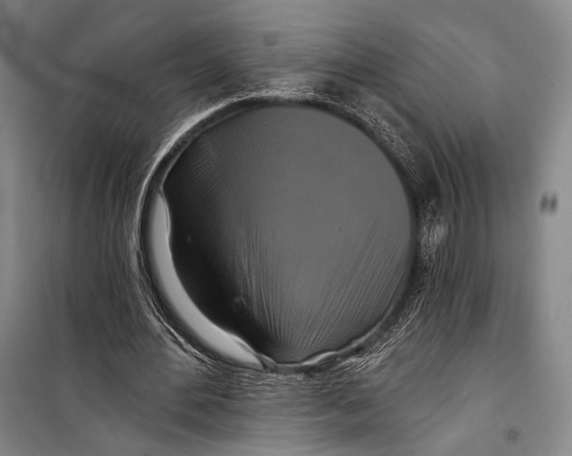 X0000098210484200805151257