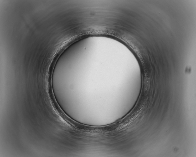 X0000098210485200805151257