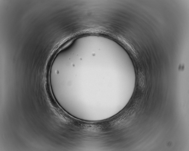 X0000098210486200805151257