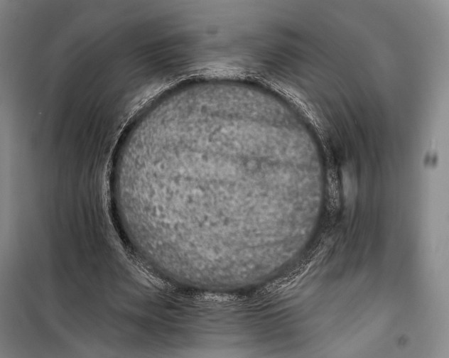 X0000098210487200805151257