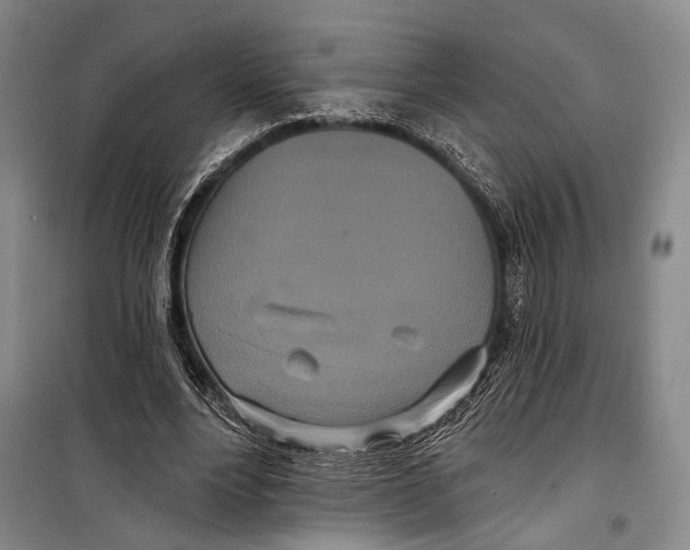 X0000098210488200805151257