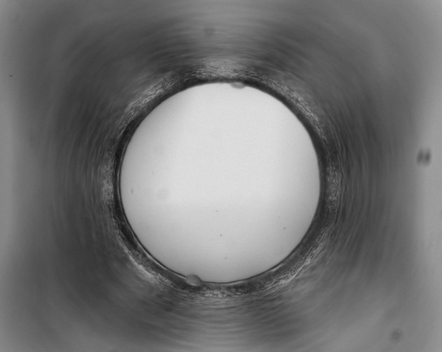 X0000098210489200805151257