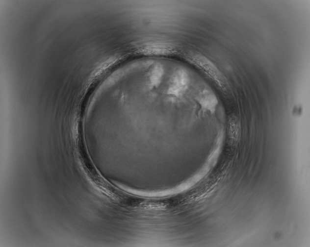 X0000098210491200805151257