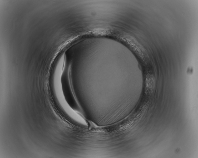 X0000098210492200805151257