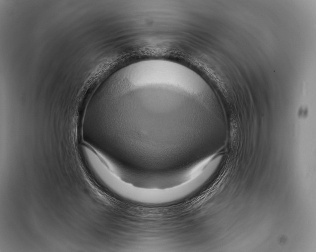 X0000098210493200805151257