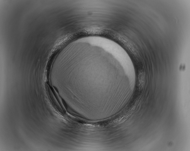 X0000098210494200805151257