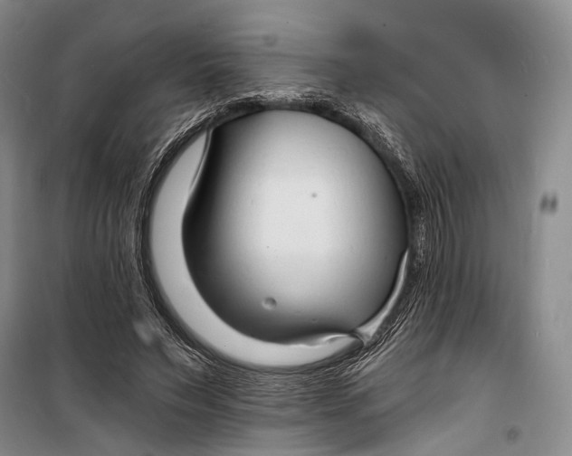 X0000098210495200805151257